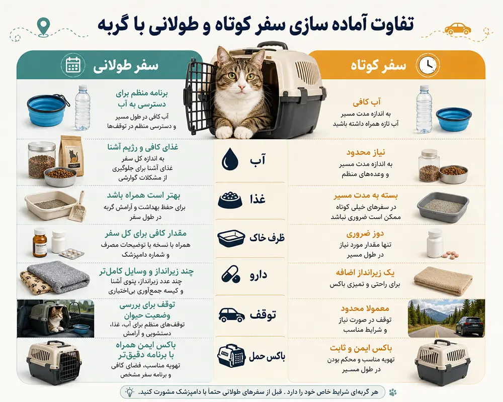سفر گربه